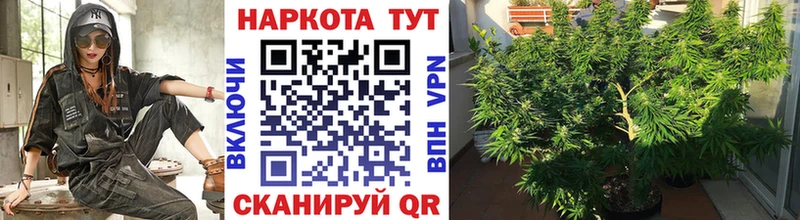 МЕФ Воркута