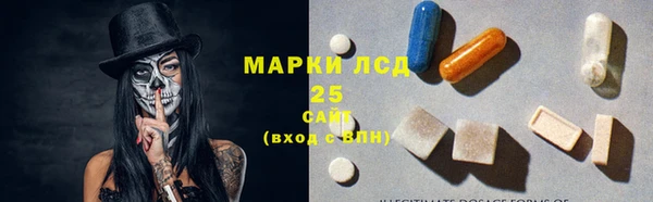 прущие грибы Зеленокумск