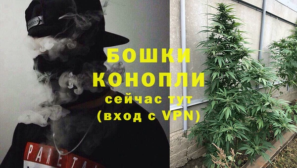 прущие грибы Зеленокумск